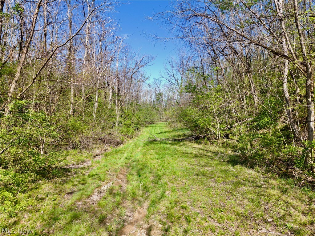 0 Harrons Ridge Road Dexter City OH 45727