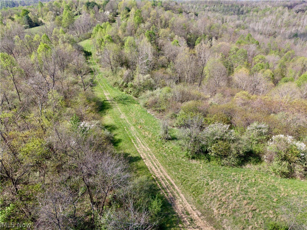 0 Harrons Ridge Road Dexter City OH 45727