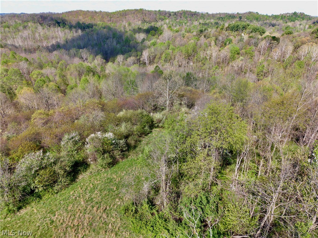 0 Harrons Ridge Road Dexter City OH 45727