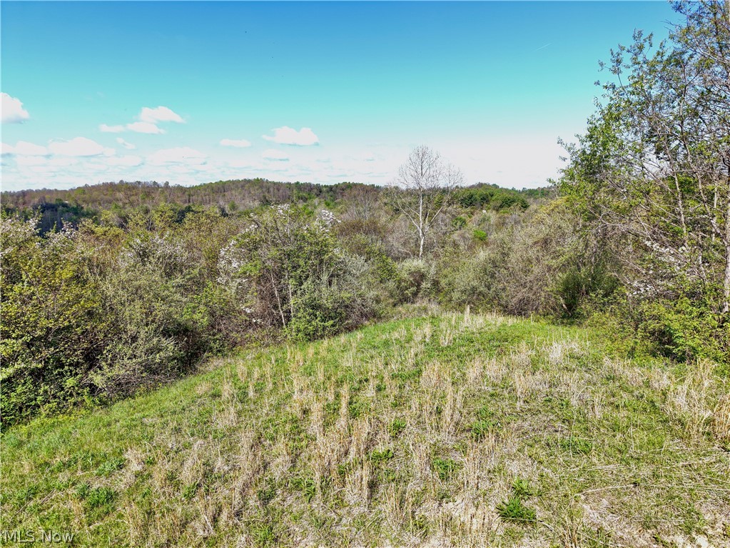 0 Harrons Ridge Road Dexter City OH 45727