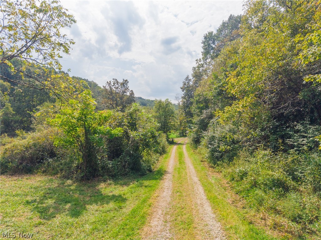 84134 Brewer Road Cadiz OH 43907