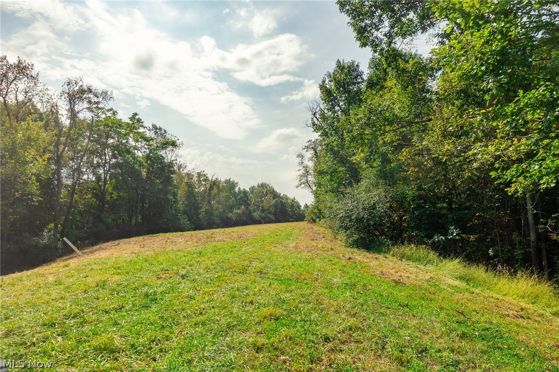84134 Brewer Road Cadiz OH 43907