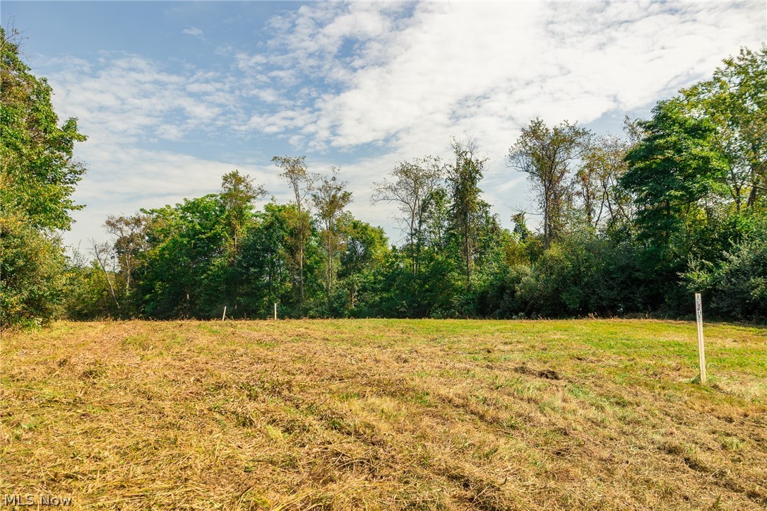 84134 Brewer Road Cadiz OH 43907