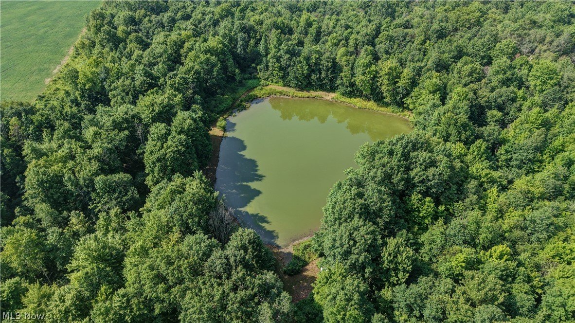 Norton Road Garrettsville OH 44231