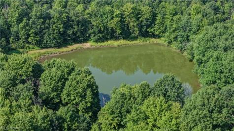 Norton Road Garrettsville OH 44231