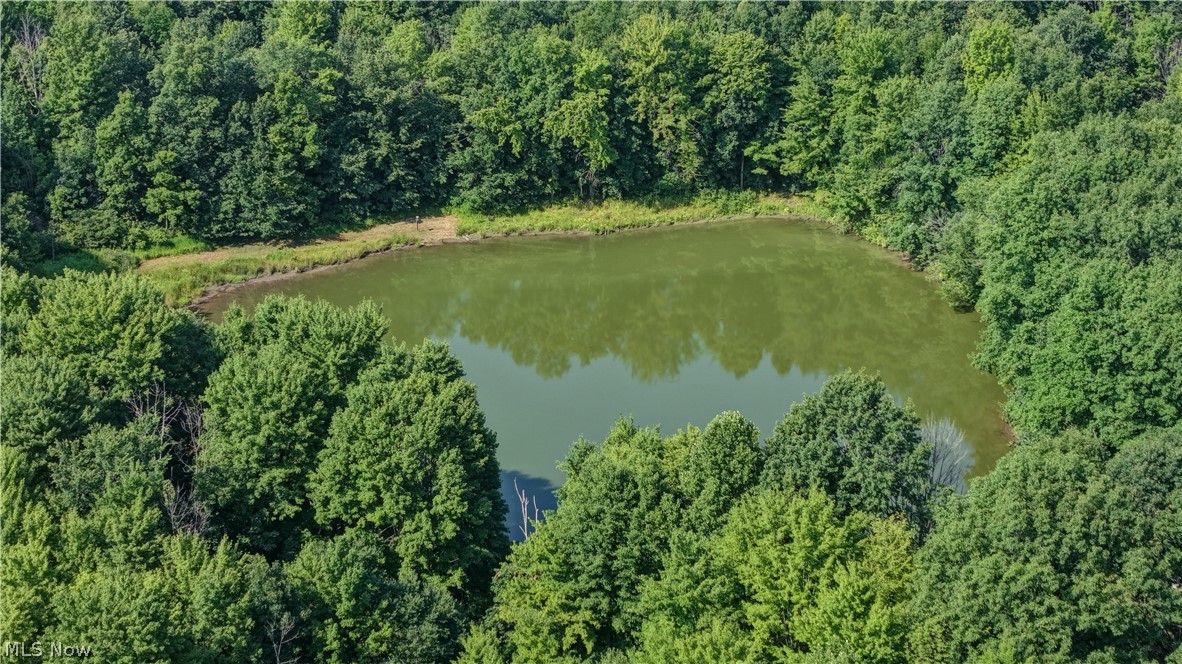 Norton Road Garrettsville OH 44231