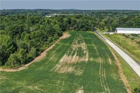 Norton Road Garrettsville OH 44231