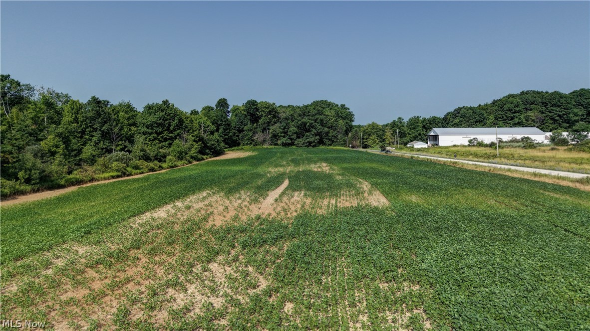 Norton Road Garrettsville OH 44231