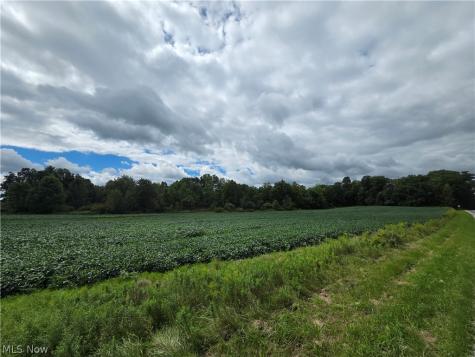 Norton Road Garrettsville OH 44231