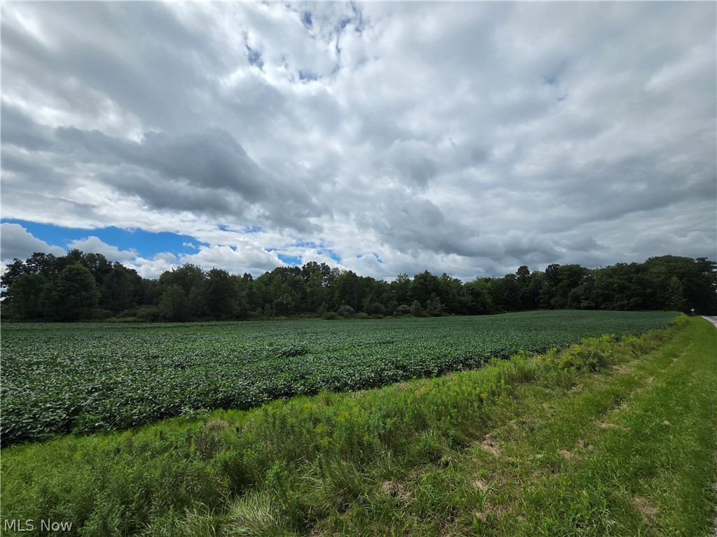 Norton Road Garrettsville OH 44231