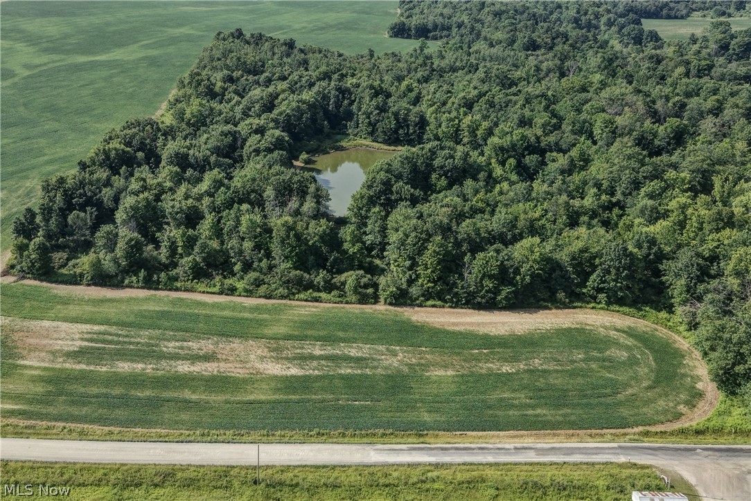 Norton Road Garrettsville OH 44231