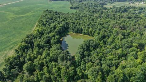 Norton Road Garrettsville OH 44231