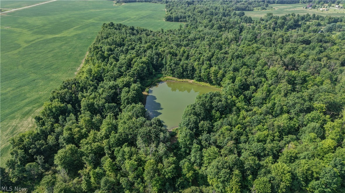 Norton Road Garrettsville OH 44231