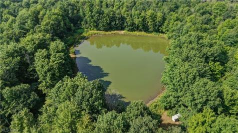 Norton Road Garrettsville OH 44231