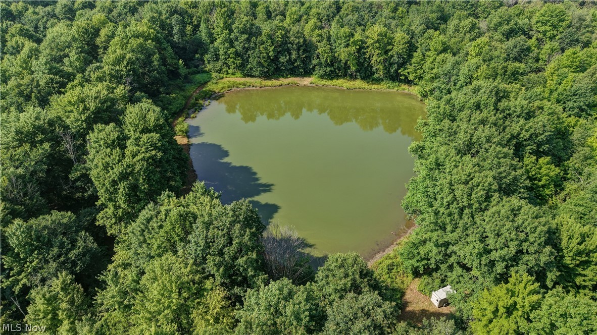 Norton Road Garrettsville OH 44231