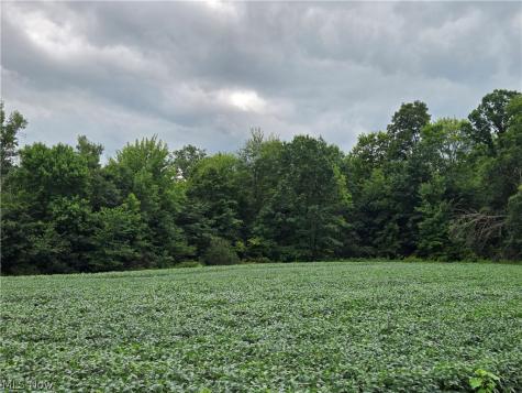 Norton Road Garrettsville OH 44231
