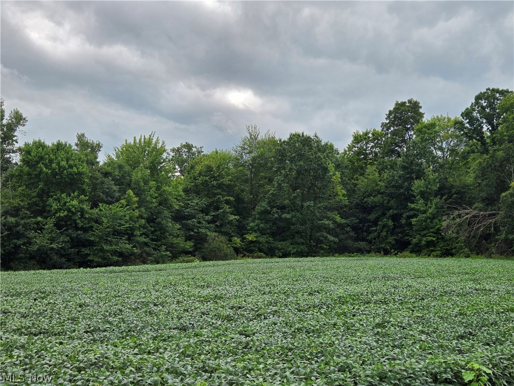 Norton Road Garrettsville OH 44231