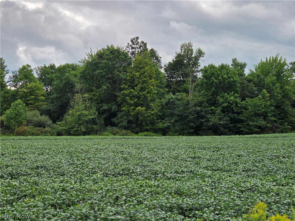 Norton Road Garrettsville OH 44231