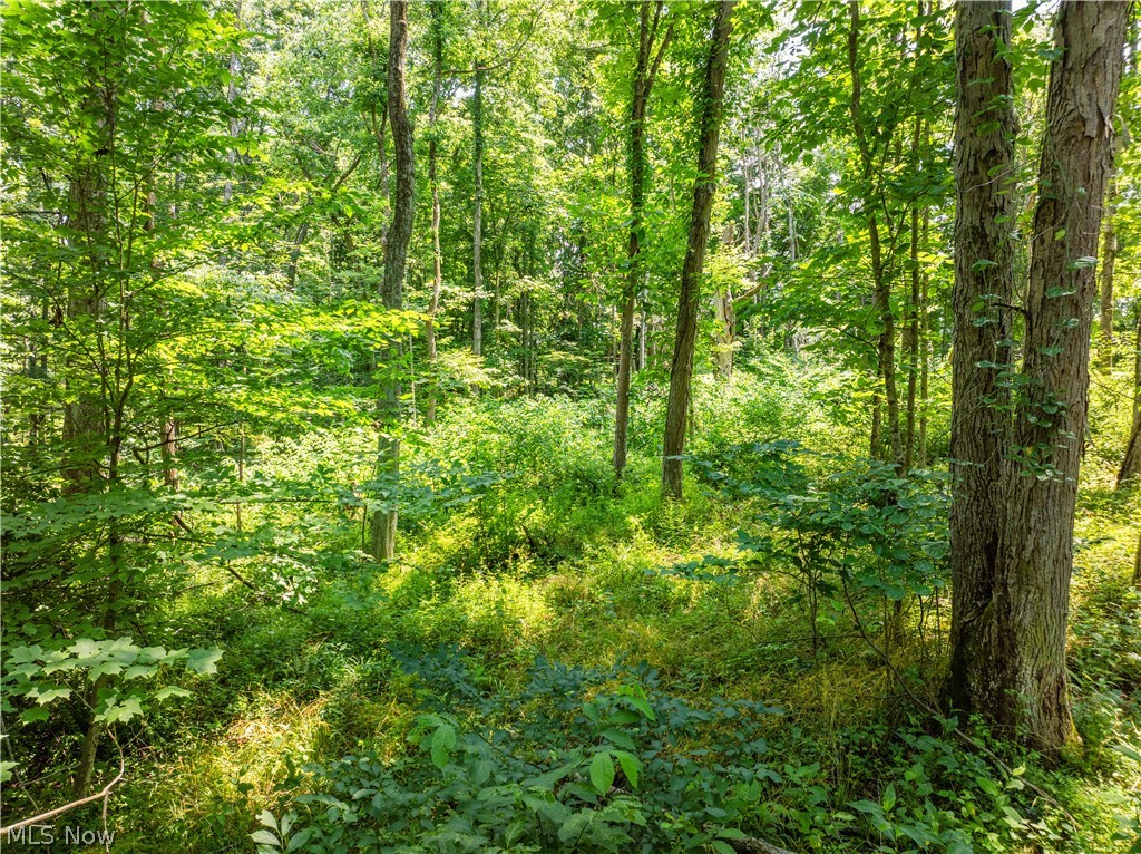 Lot 15 Township Road 51 Somerset OH 43783