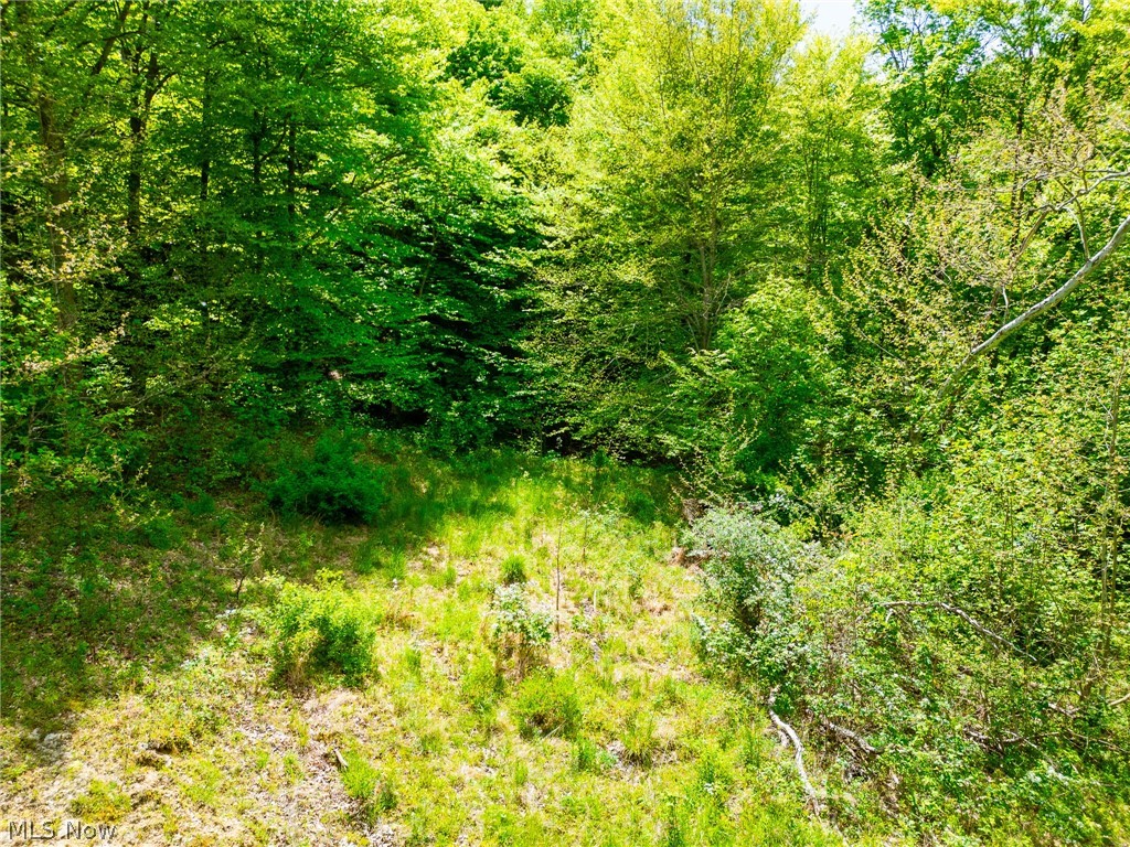 6100 Rockville Road Blue Rock OH 43720