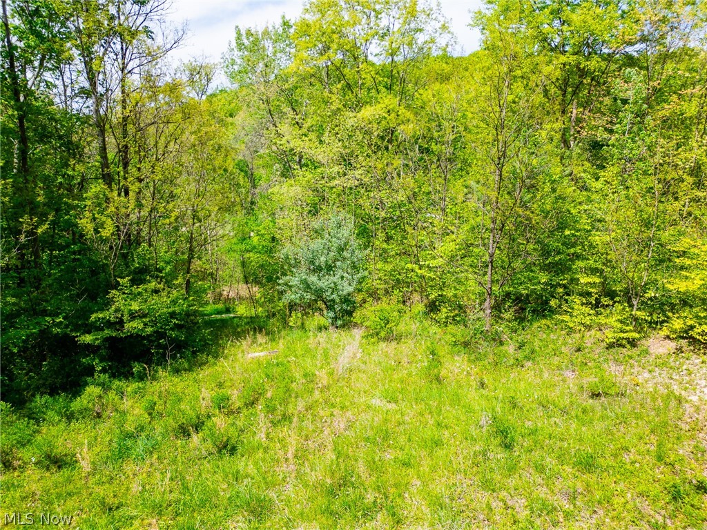 6100 Rockville Road Blue Rock OH 43720