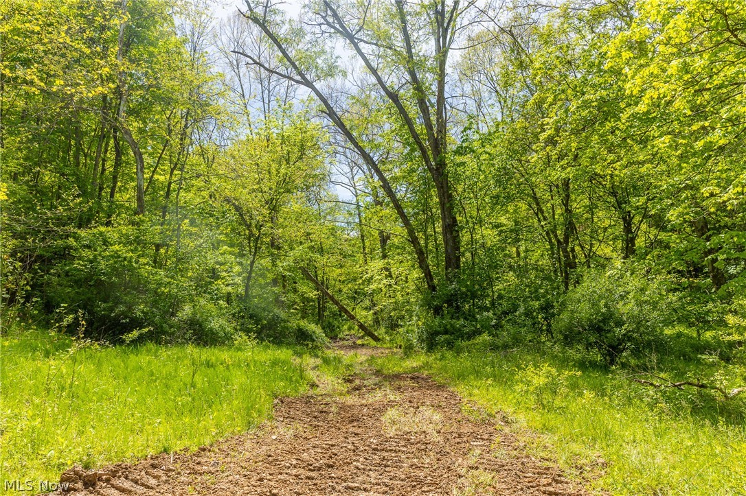 6100 Rockville Road Blue Rock OH 43720