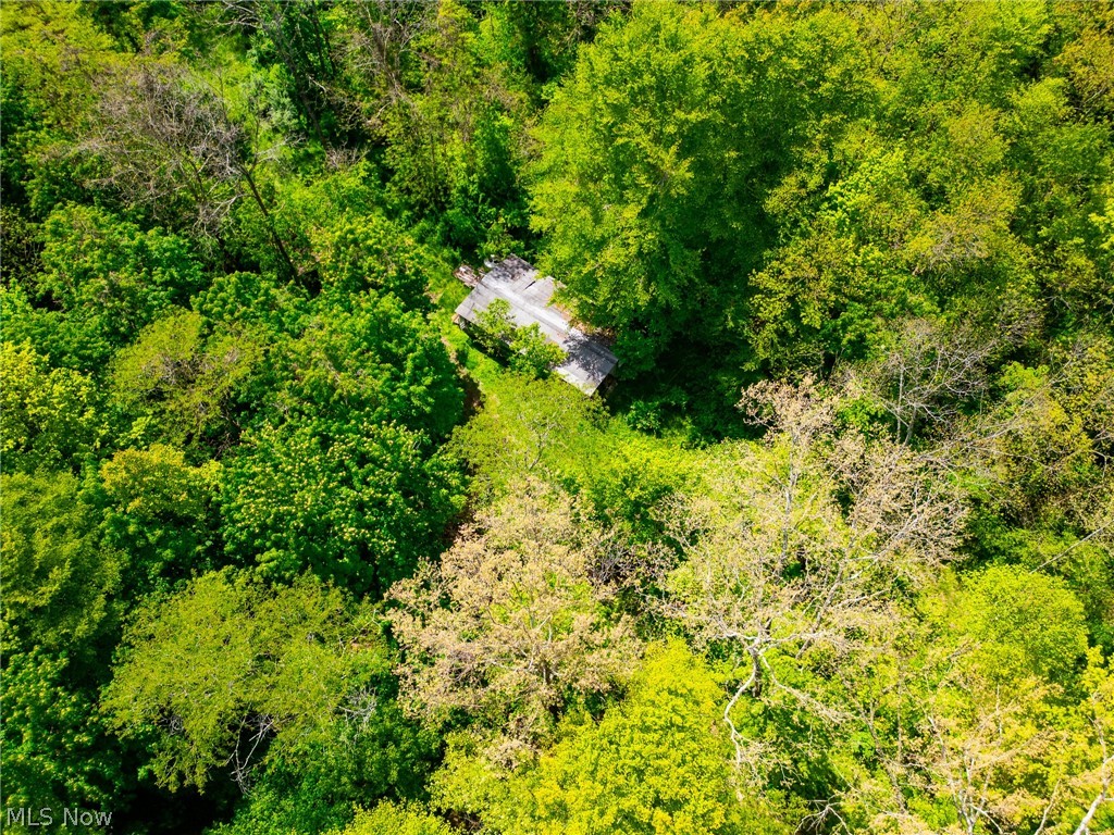 6100 Rockville Road Blue Rock OH 43720
