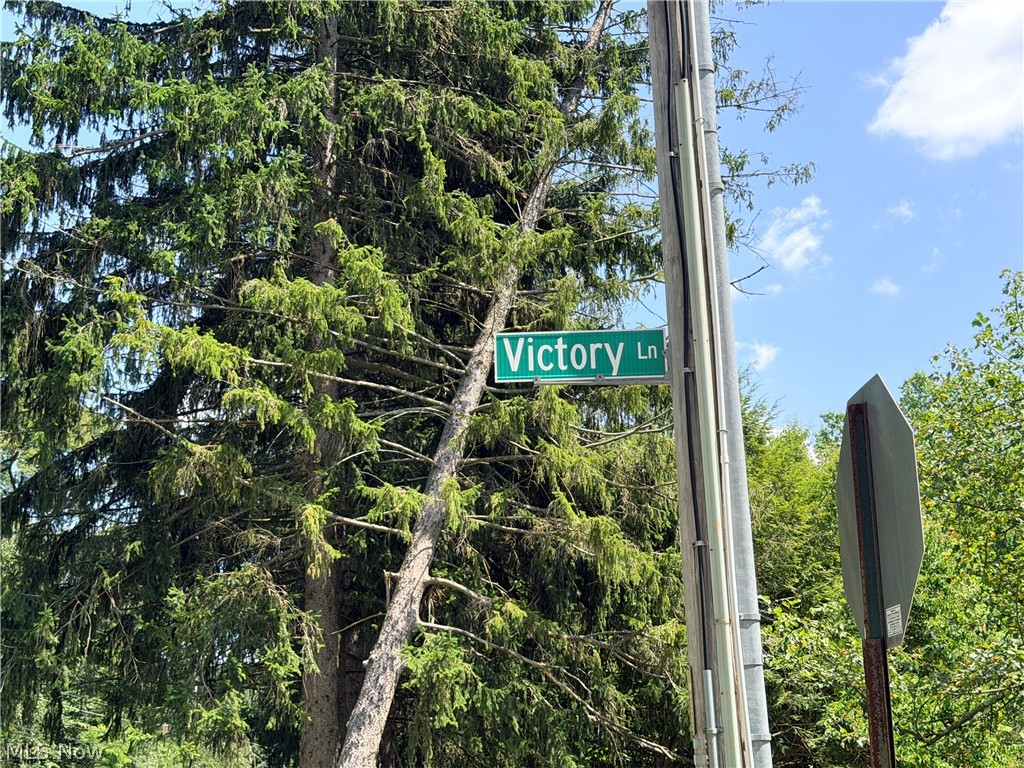 Victory Lane Canfield OH 44406