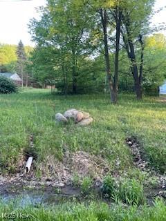 6994 Hankee Road Garrettsville OH 44231
