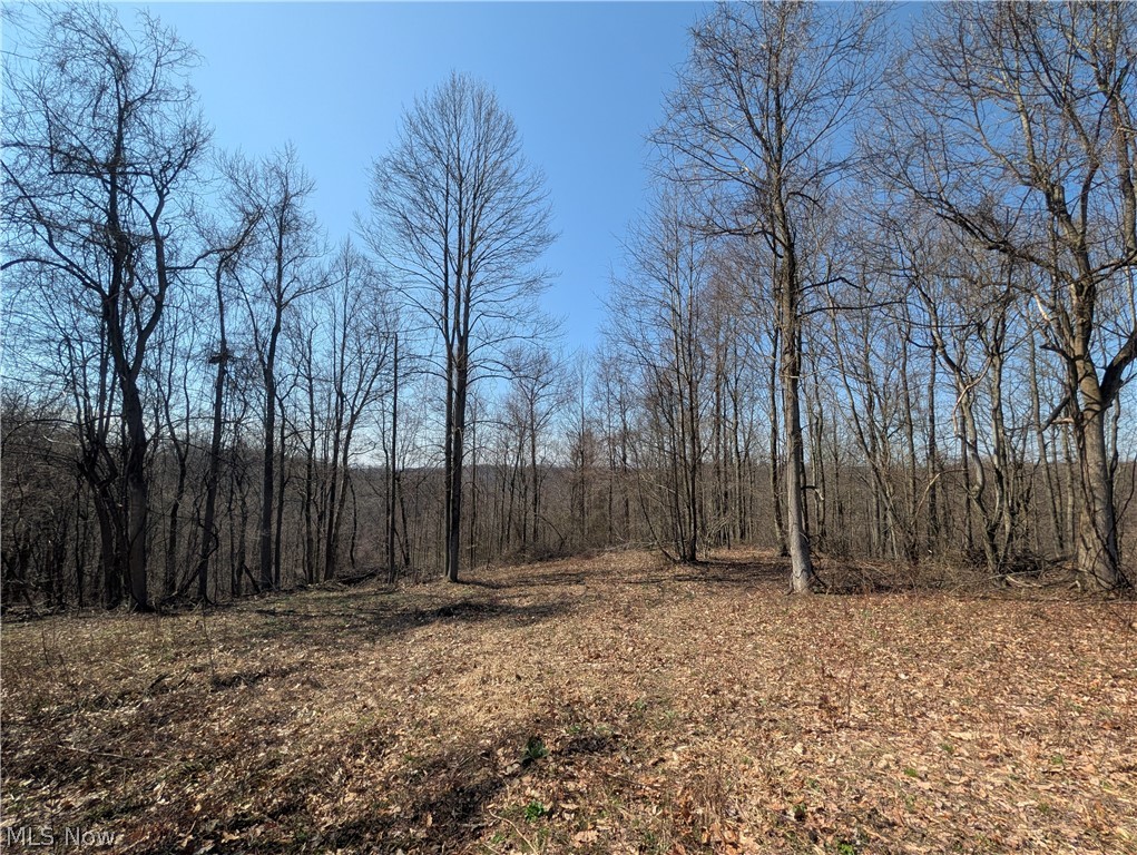 5696 Township Road 289 Hammondsville OH 43945