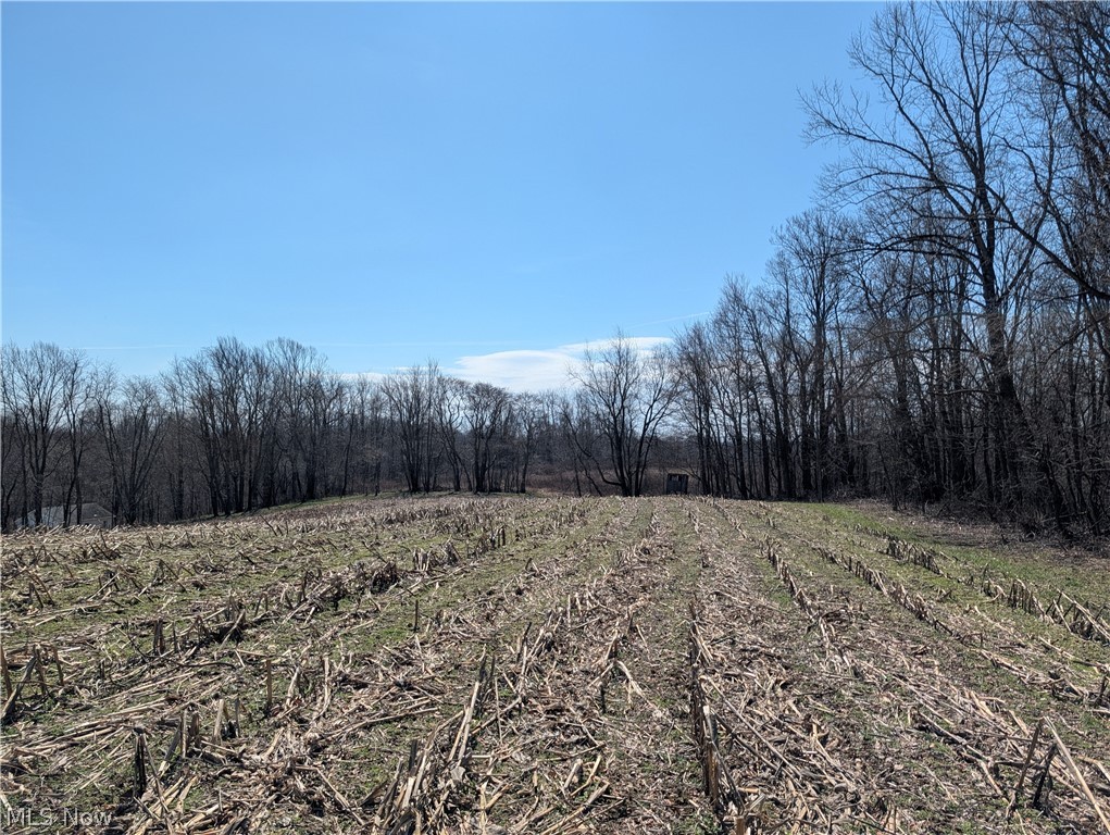 5696 Township Road 289 Hammondsville OH 43945