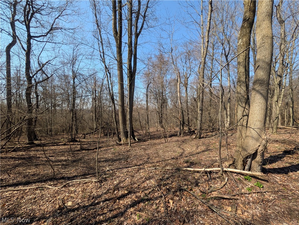 5696 Township Road 289 Hammondsville OH 43945