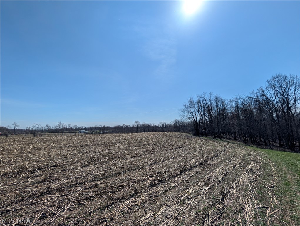 5696 Township Road 289 Hammondsville OH 43945