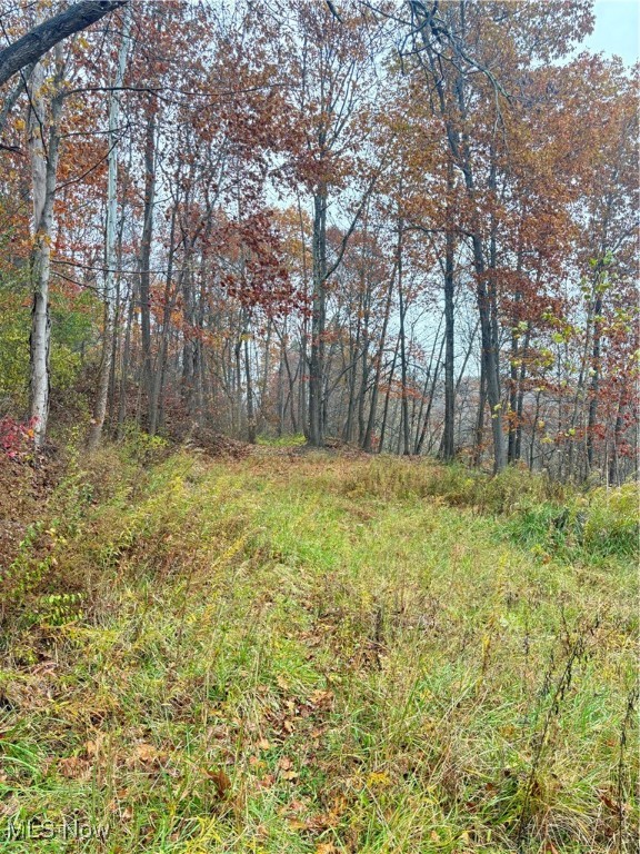 72635 8th Street Road Kimbolton OH 43749