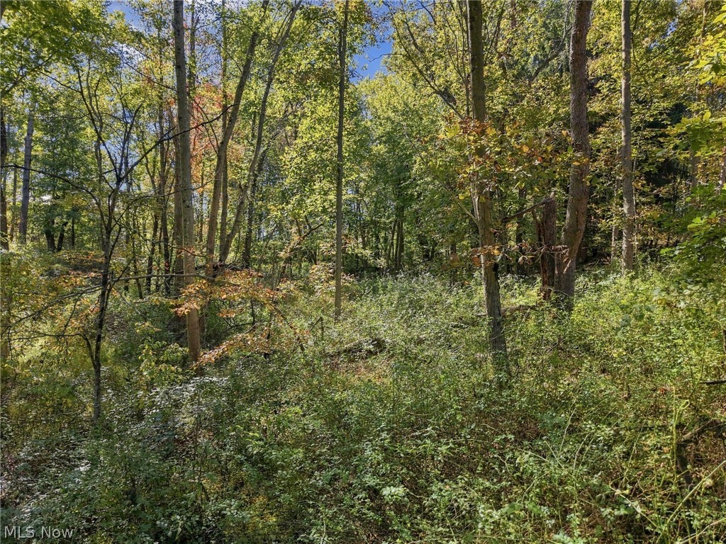 2274 N Orchard Road NE Bolivar OH 44612