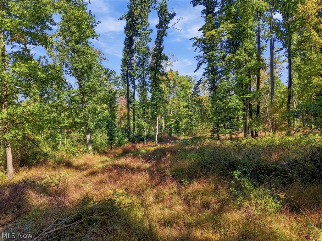 2274 N Orchard Road NE Bolivar OH 44612