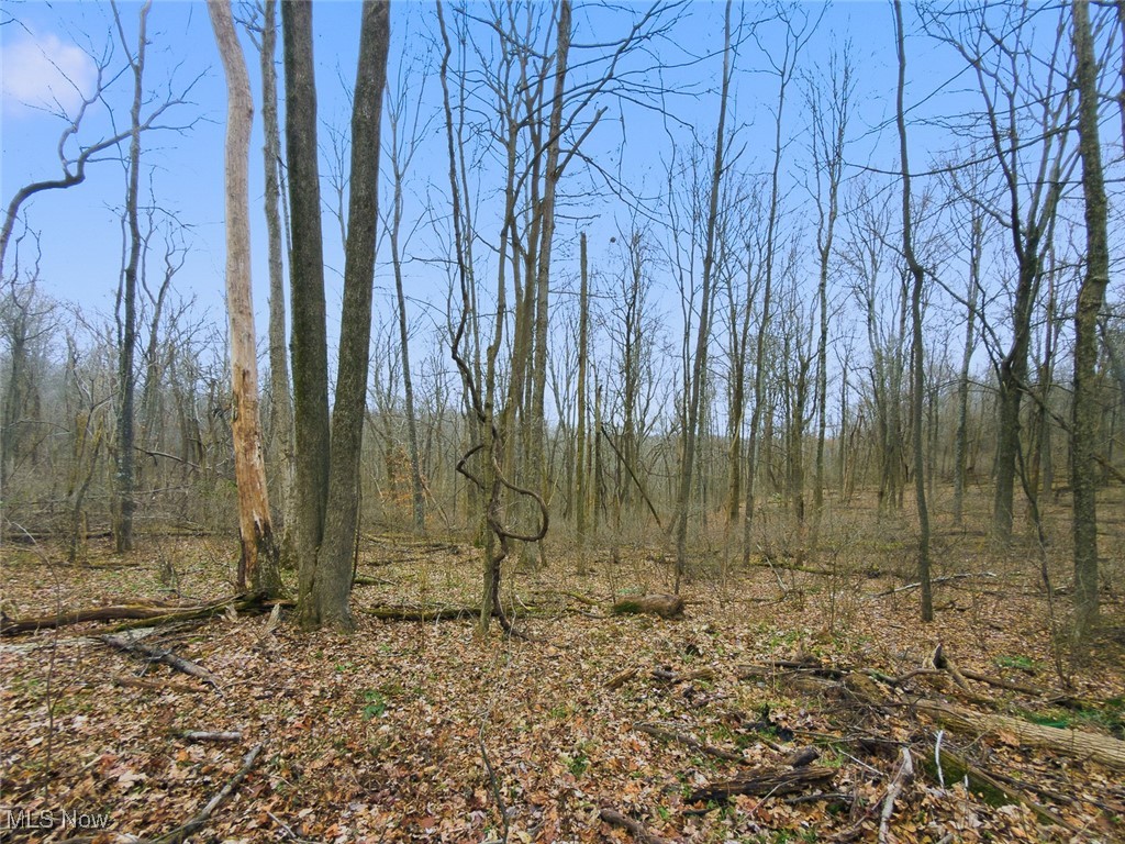 0 Township Road 318 Corning OH 43730
