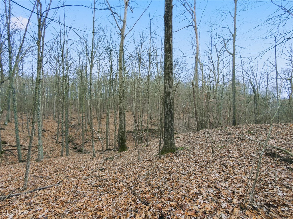 0 Township Road 318 Corning OH 43730