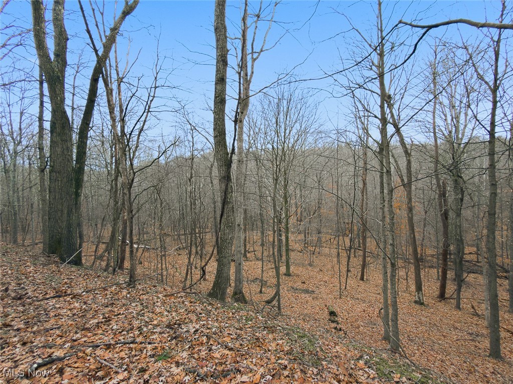 0 Township Road 318 Corning OH 43730