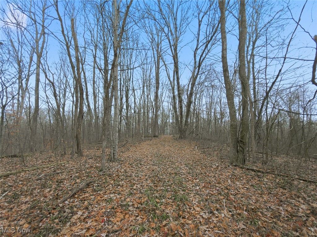 0 Township Road 318 Corning OH 43730