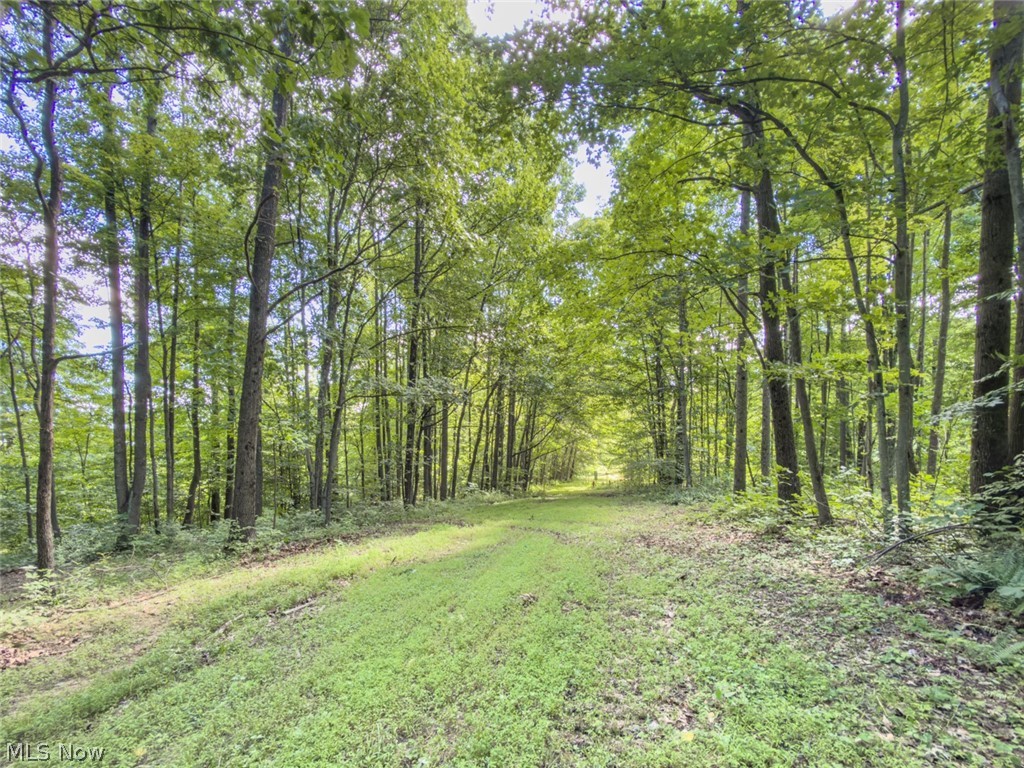 6985 Brush Run Road Cambridge OH 43725