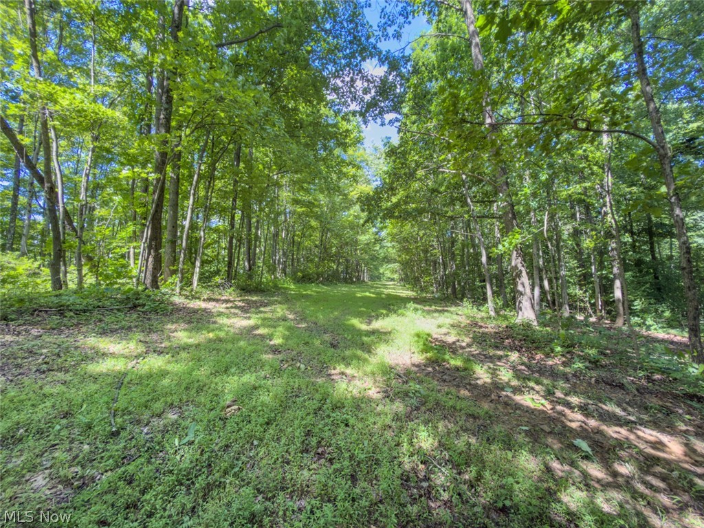6985 Brush Run Road Cambridge OH 43725