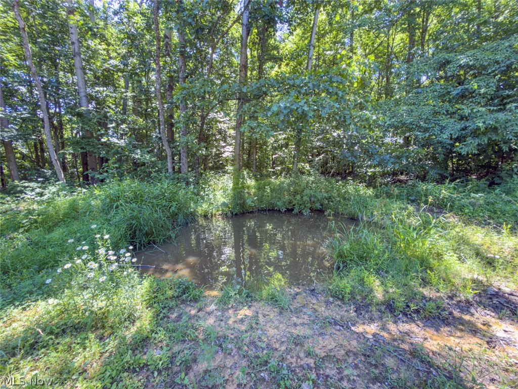 6985 Brush Run Road Cambridge OH 43725