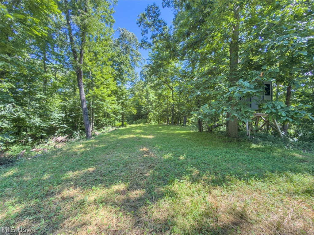 6985 Brush Run Road Cambridge OH 43725