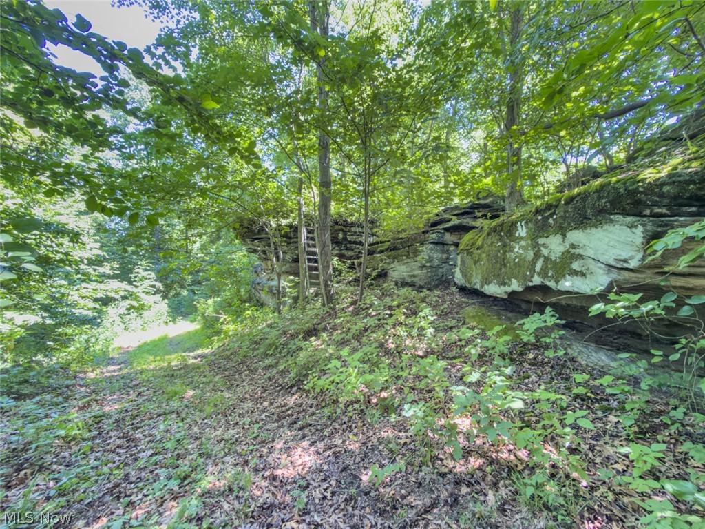 6985 Brush Run Road Cambridge OH 43725