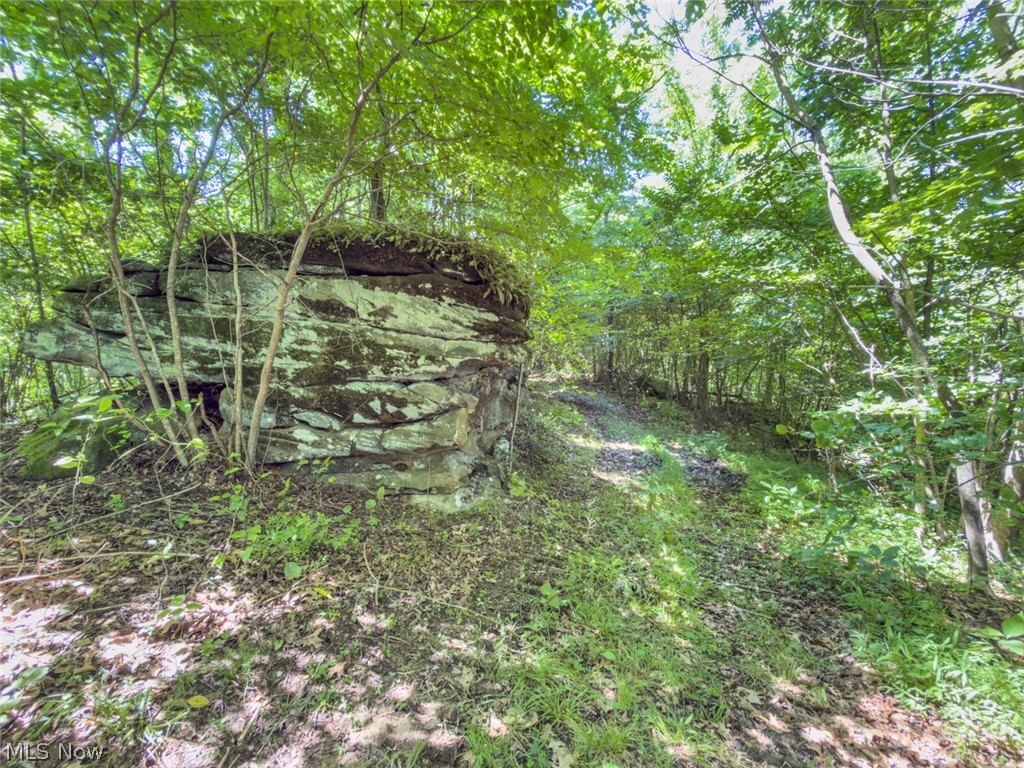 6985 Brush Run Road Cambridge OH 43725