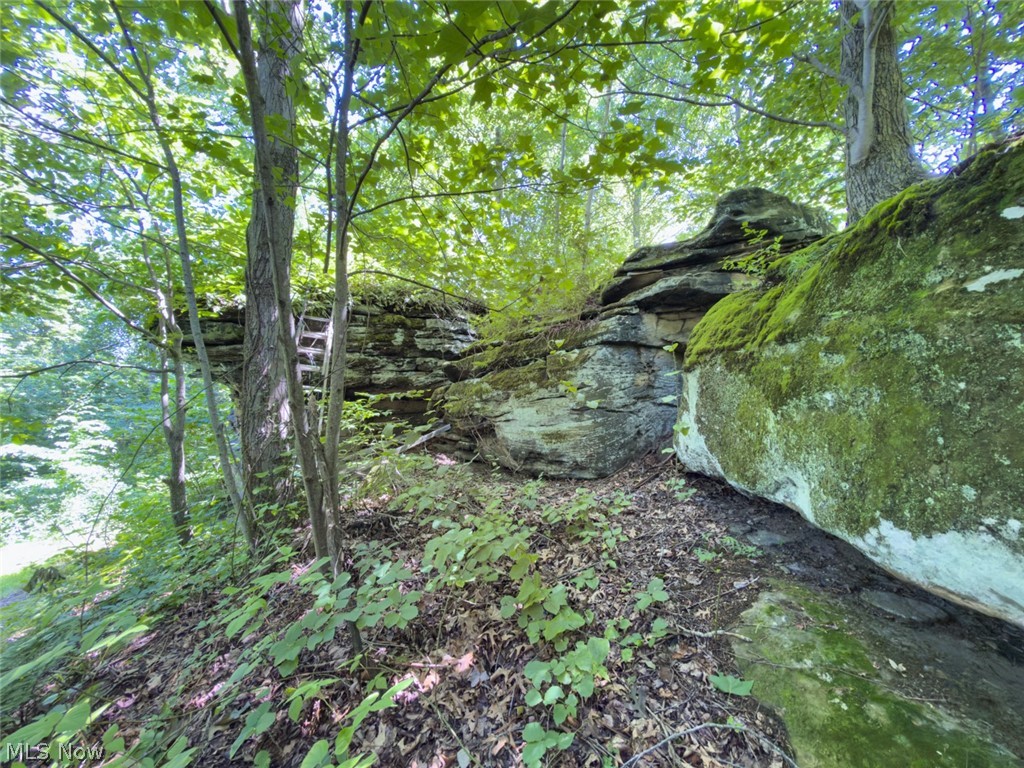 6985 Brush Run Road Cambridge OH 43725