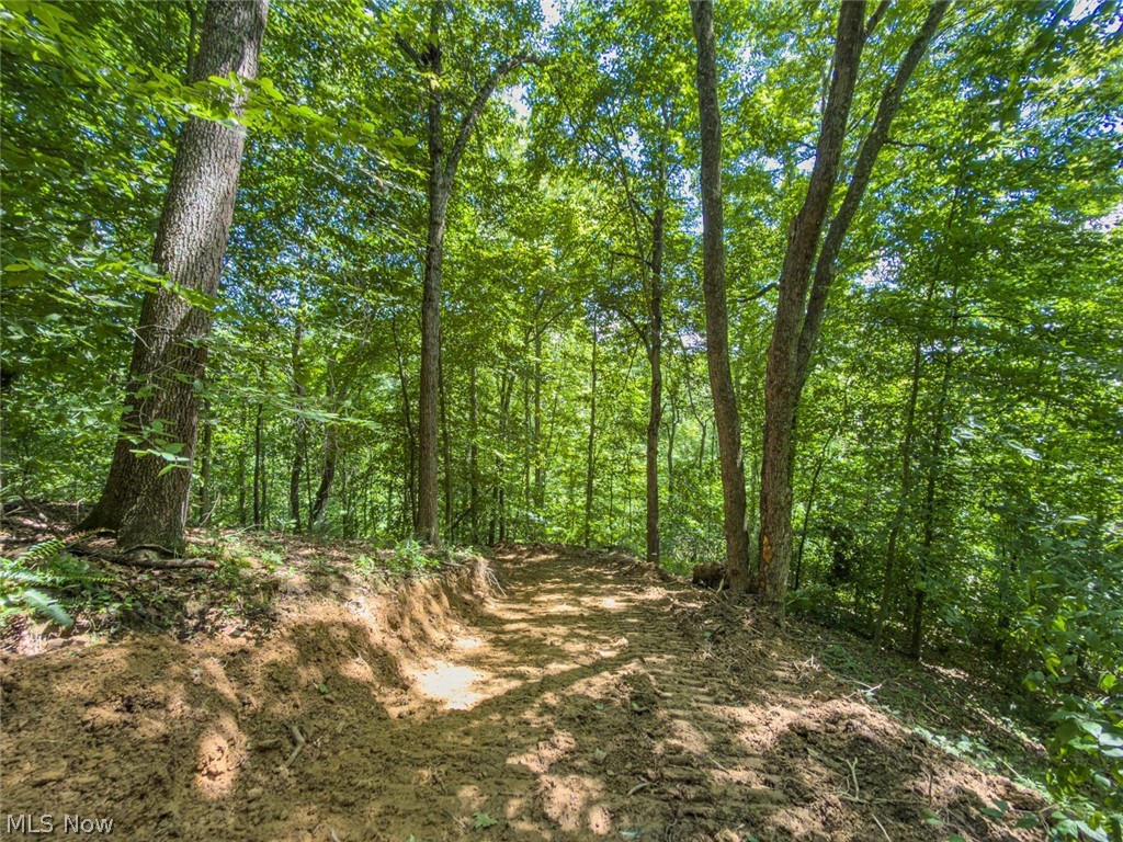 6985 Brush Run Road Cambridge OH 43725
