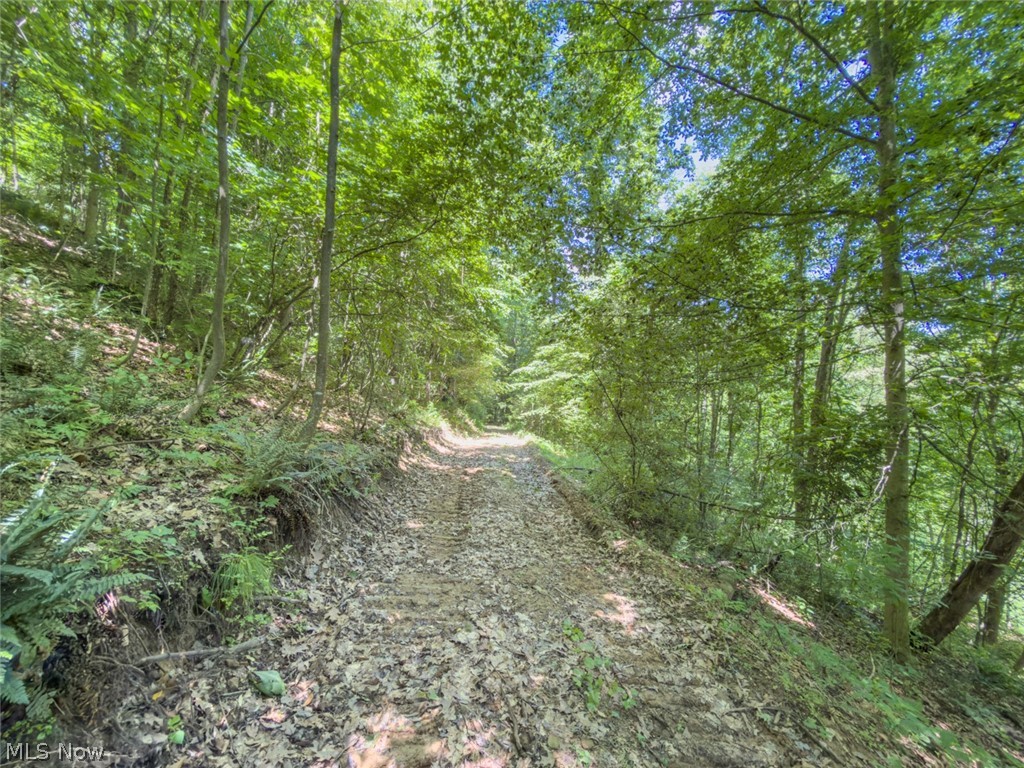 6985 Brush Run Road Cambridge OH 43725