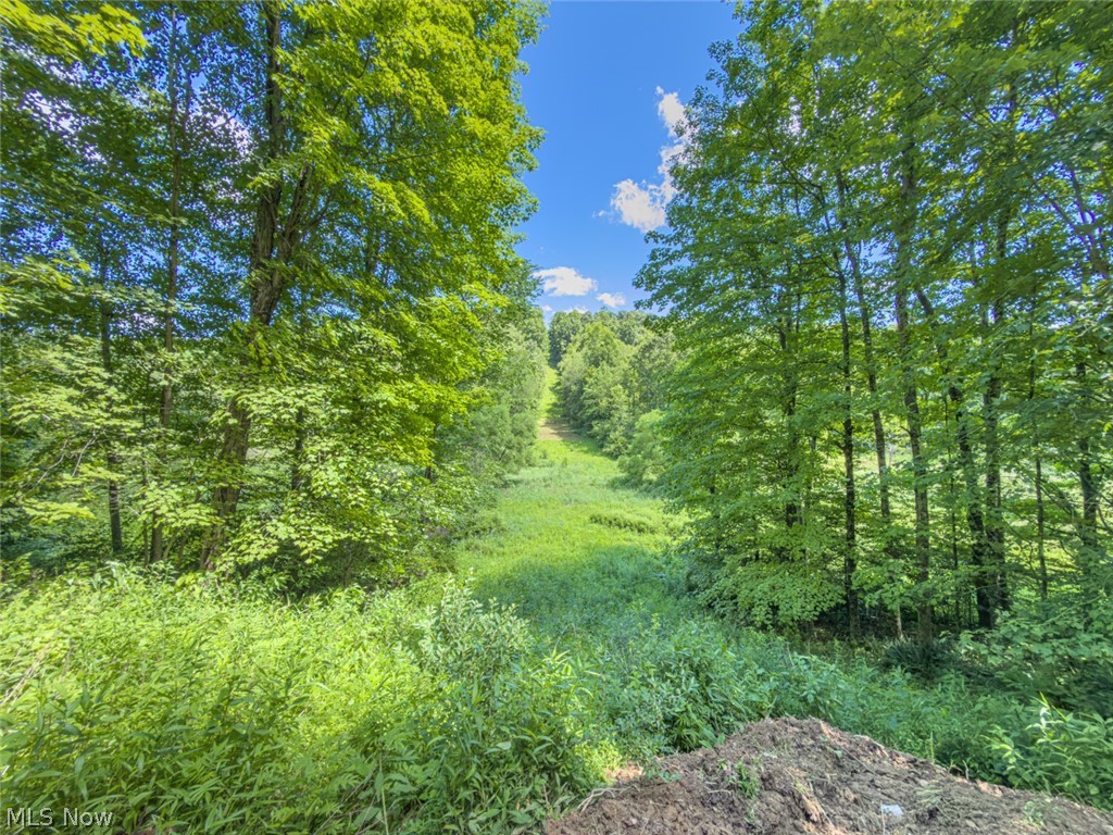 6985 Brush Run Road Cambridge OH 43725